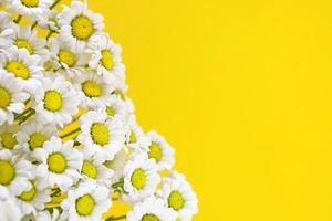 Chamomiles bouquet on bright yellow background. Small white chrysanthemums. Hello summer concept. Greeting card with place for text. photo