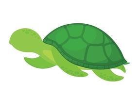 vector de imágenes prediseñadas de icono de tortuga sin rostro de dibujos animados para la colección de animales marinos imagen animada