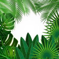 Tropical leaves. Floral design background. vector