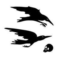 Crows. Skull. Diving, flying crows. Halloween element design. vector