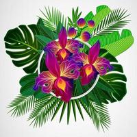 Tropical leaves with orchid flowers and white frame on isolate background. vector