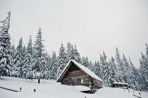 Wooden house at pine trees covered by snow on mountain Chomiak. Beautiful winter landscapes of Carpathian mountains, Ukraine. Frost nature. photo