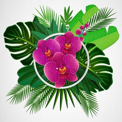 Lovely pink orchids and tropical leaves