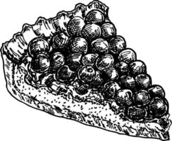 Berry pie sketch. A slice of berry pie. Pie from currants, cranberries, gooseberries, cherries vector