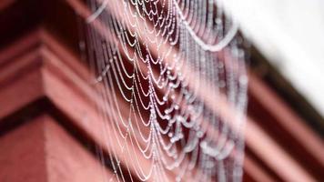 close-up vista da teia de aranha coberta com gotas de umidade. foco do rack.