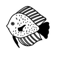 WebFunny fish, vector illustration on an isolated white background, black outline of an aquarium fish. Underwater world. Doodle, EPS10 art line