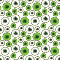 Vector seamless background with green kiwi slices on white. Use for fashion wear, t-shirt print, textile, surface design.