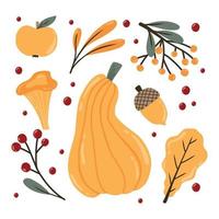 Autumn set. Autumn pumpkins, leaves, berries and mushrooms. Drawn style. Collection of autumn plants. Vector illustration.