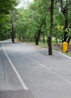 Empty running and bicycle lane photo