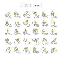 Set of linear icons of Groats vector