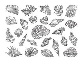 Set of Linear Shells with Ornaments vector