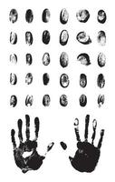 Set of Textured Fingerprints vector