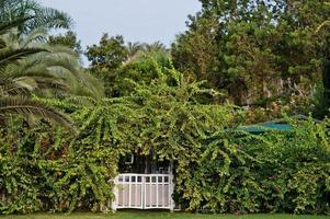 White wooden gates with trees at tropical park resort in Turkey. photo