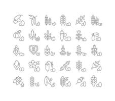 Set of linear icons of Groats vector