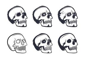 Skull of Collection vector