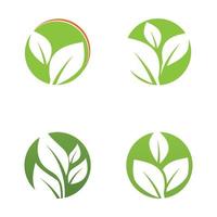 logotipos de vector de elemento de naturaleza ecología de hoja verde