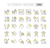 Set of linear icons of Veterinary Medicine vector