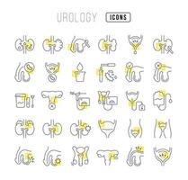 Set of linear icons of Urology vector