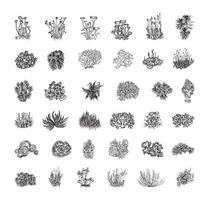 Moss Illustrations in Art Ink Style vector