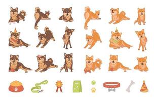 Set of Shiba Inu Dogs vector