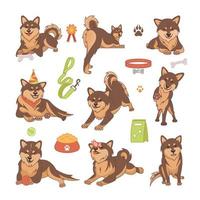 conjunto de perros shiba inu vector