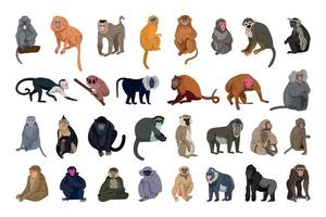 Set of Monkeys vector