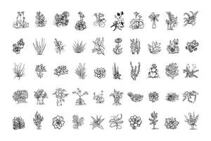 Succulents Illustrations in Art Ink Style vector