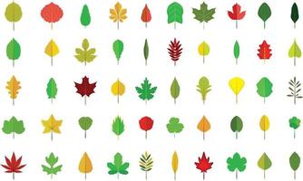 Autumn Leaves Collection vector