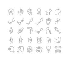 Set of linear icons of Prosthetics vector