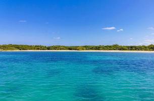 Beautiful tropical natural beach and forest panorama Contoy island Mexico. photo