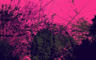 Abstract grunge texture black and magenta color background vector