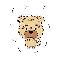 Cute doggie. Vector illustration of a furry animal
