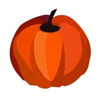 Fresh pumpkin. Autumn Harvest. Vector illustration