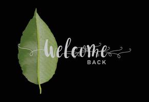 Welcome banner design with natural watercolor green leaves elements vector art. Fully editable and layered