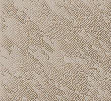 brown and gradient pattern textile abstract background vector