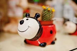 Ladybug pots for flowers with small cactus. photo