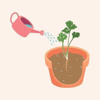 la maceta tiene un árbol de cilantro que se descompone, por lo que puede ver el vector raíz