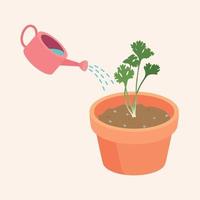 watering coriander in a pot are Growing up is a soft shoot Flat Vector illustration