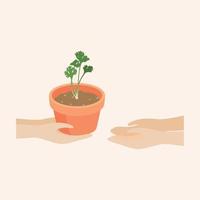 Hand holding a flowerpot With coriander to be forwarded to others people vector