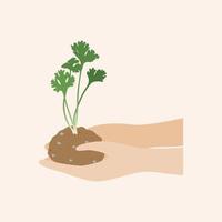 mano sosteniendo una planta de cilantro para ser enviada a otras personas vector