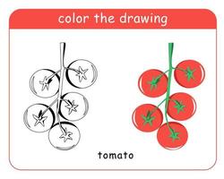 Coloring book for children. Cherry tomatoes on a branch in color and black and white. vector