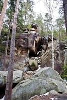 rocas dovbush en el bosque verde en las montañas de los cárpatos. foto