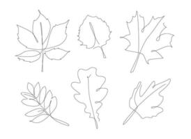 Forest leaves one line set. Autumn leaf linear collection. Simple outline leaves. vector