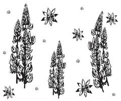 black and white floral doodle pattern vector