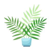 House tropical plant in pot. vector