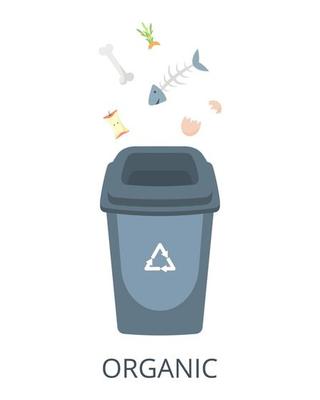 Organic waste sorting concept. Container with organic garbage