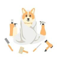 Afiche de aseo de perros sobre fondo blanco con corgi y equipo de aseo. cuidado de mascotas. vector