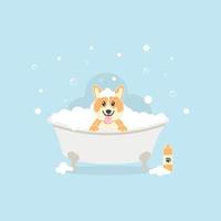 Dog bath. Poster for grooming salon. Cute design. vector