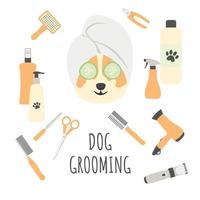 Dog grooming poster on white background with corgi and grooming equipment. Pet care.