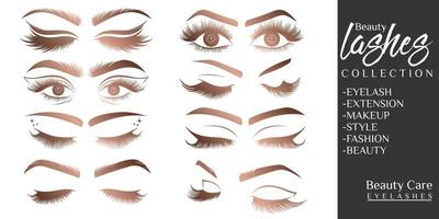 beauty eyelash icon set logo design vector